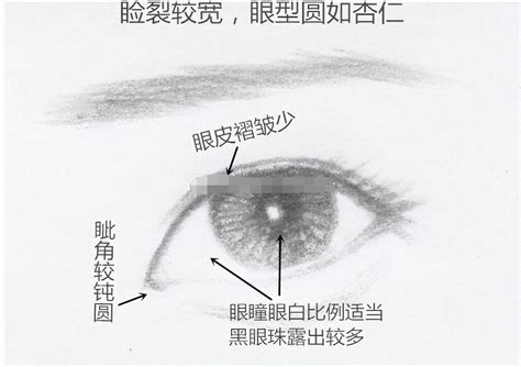 丹鳳眼狐狸眼|桃花眼，丹鳳眼，瑞鳳眼，傳統眼型盤點